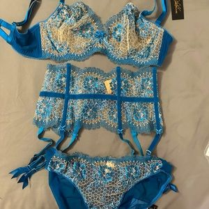 Dita Avon Teese blue and nude lace bra, bikini, garter set